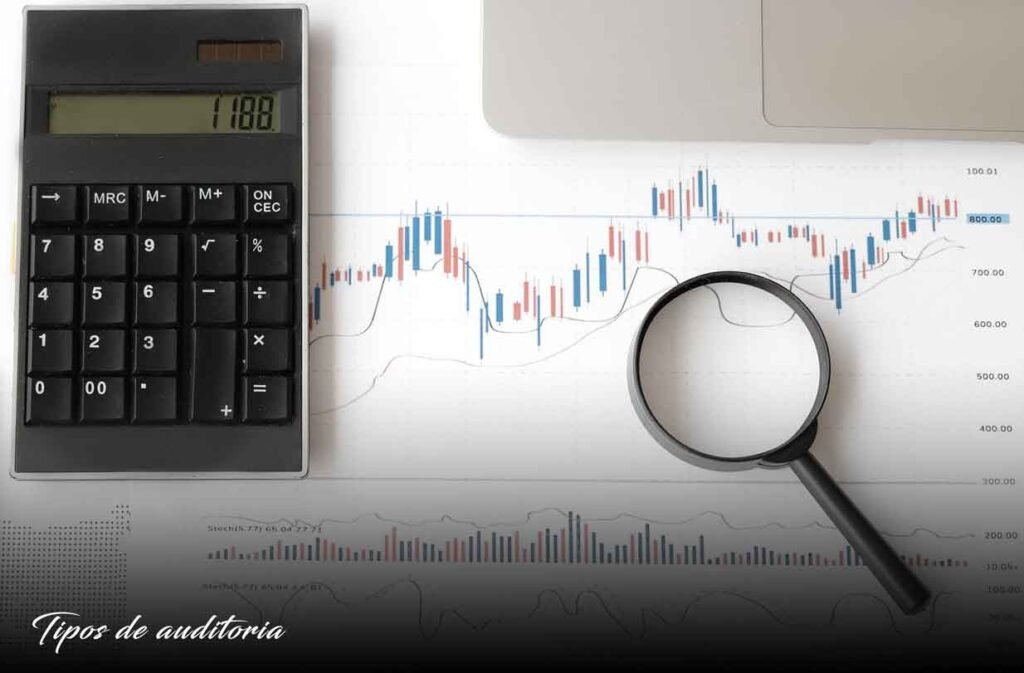 tipos de auditoria