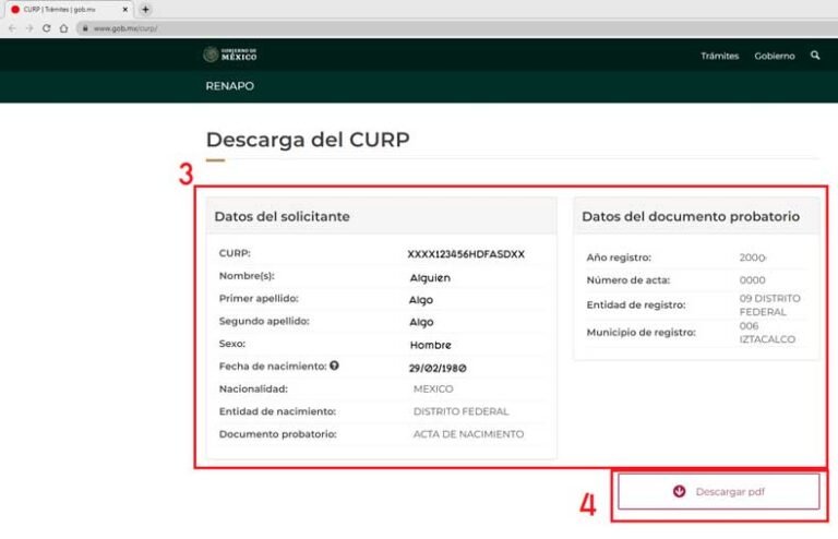 ¿Cómo consultar e imprimir tu CURP por internet? | Blog ALU