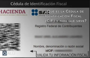 cedula de identificacion fiscal